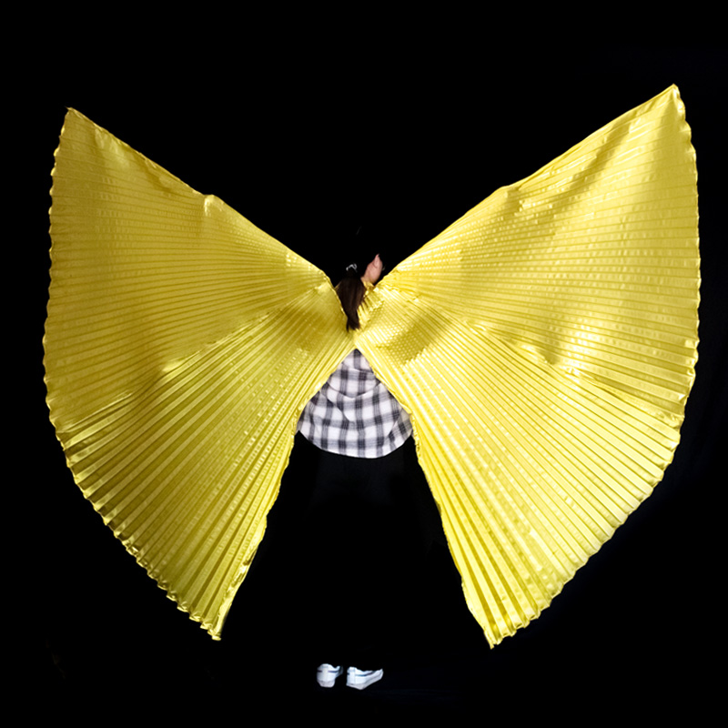 Women Bags In Egypt - Belly Dance Wings Isis Wings Accessory