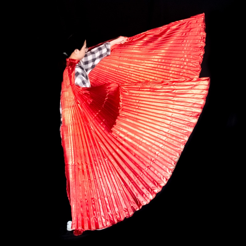 Belly Dance Wings Isis Wings A - Women Bags In Egypt 评论和价格
